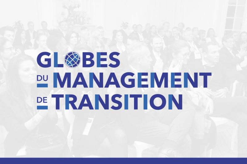 Globes du Management de Transition